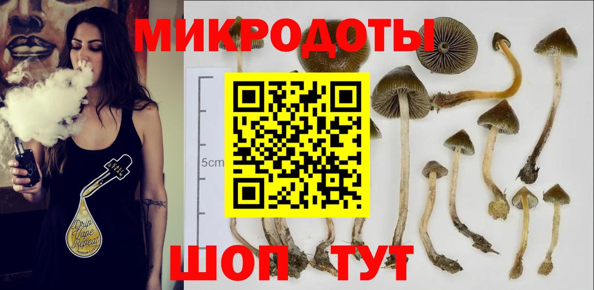 Людиново  Псилоцибиновые грибы мухоморы  Вход с VPN 